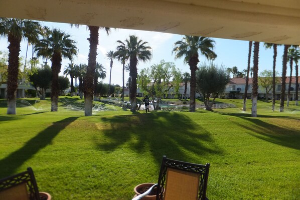 Mornings on the patio.