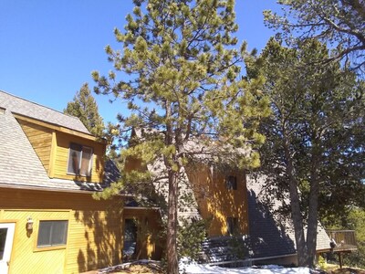 Mountain Chalet W/Pikes Peak View & Hot Tub, Rent 2-10 Bdrms.