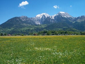 Ferienwohnung Drachllehen (DE Schönau am Königssee) - Hinterbrandner Christian - 37261-Ausblick