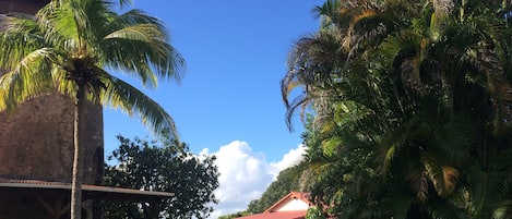 Villa avec son moulin sur un terrain de 2500m2