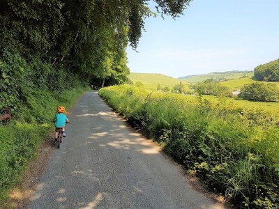 Gorgeous Thornton-le-Dale 2 Bedroom Cottage & Garden, Cosy Family Friendly, WIFI