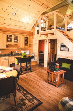 Lower level kitchen, living and dining area