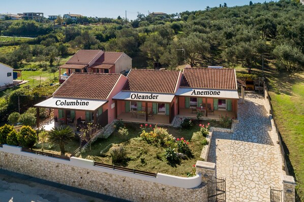 Garden apartments-Anemone Apartment Agios Stefanos- 