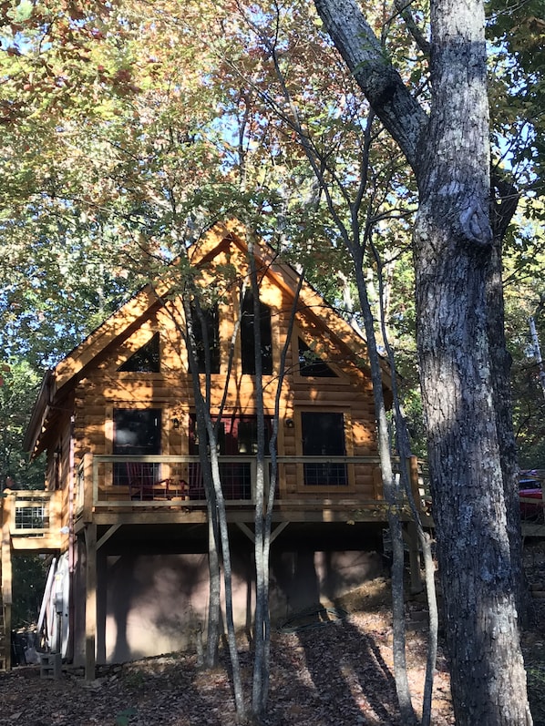 The Cabin at Wayside