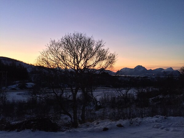 Blick vom Balkon