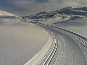 Skifahren