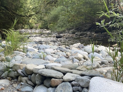 Kingfisher Kabin on the Raging River