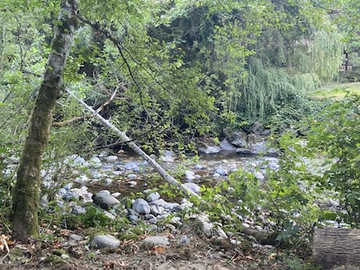 Kingfisher Kabin on the Raging River