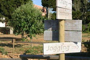 Wall, Tree, Land Lot, Landscape, Signage, Plant, National Park, Rock, State Park, Sign