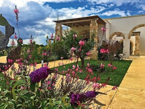 Fleur, Jardin, Plante, Propriété, Cour, Domicile, Ciel, Maison, Zone Résidentielle, Botanique