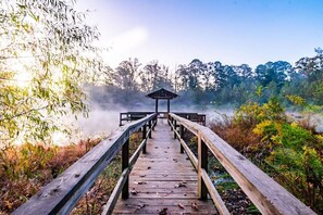 dock with fog