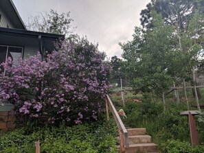 Boendeområde
