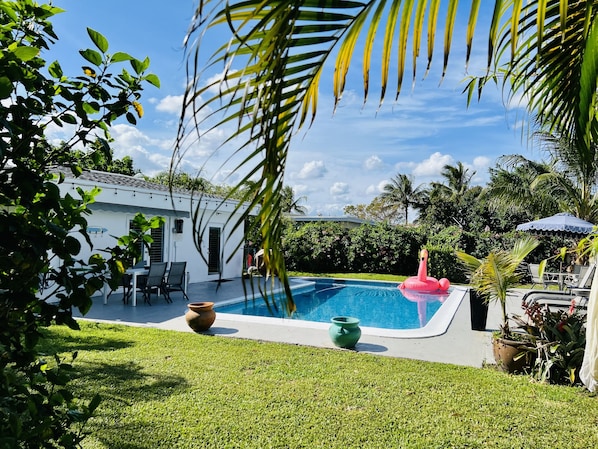 Beautiful tropical backyard & BIG saltwater pool. Plenty of chairs and loungers.