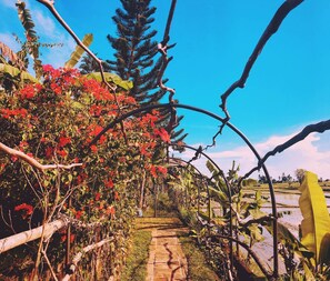 Terrenos do alojamento