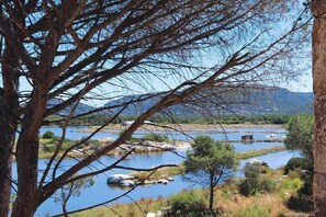 Vue sur l'eau