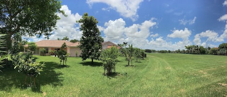 Jardines del alojamiento