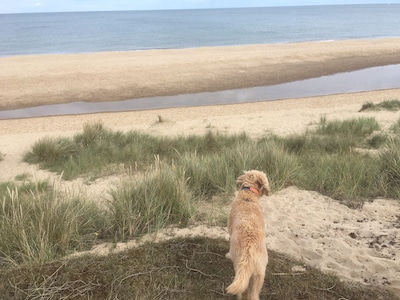 Hundefreundliche Häuschenmomente vom schönen Winterton Strand