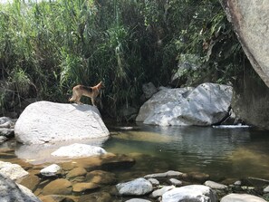 Nearby waterfalls and swimming pools