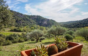 view-from-room