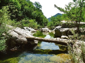 Gewässer, Wasservorräte, Natürliche Landschaft, Auwald, Naturschutzgebiet, Wasserlauf, Natur, Vegetation, Strom, Wasser