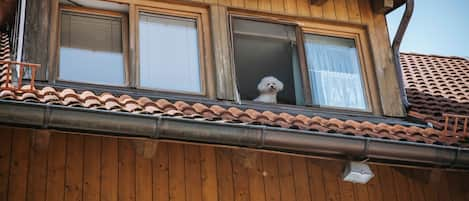 Ferienwohnung Dietz im 2. Obergeschoss. Der Hund einer Mieterin genießt die Aussicht.