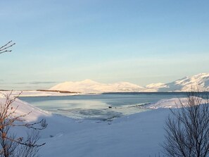 Utsikt från boendet