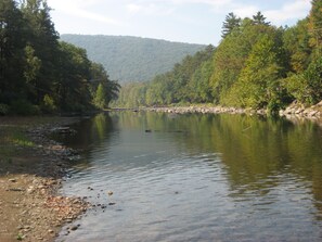 Swimming hole a couple hundred feet down stream