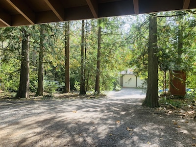 Luxury Cottage in the Woods with Movie Theater! :)