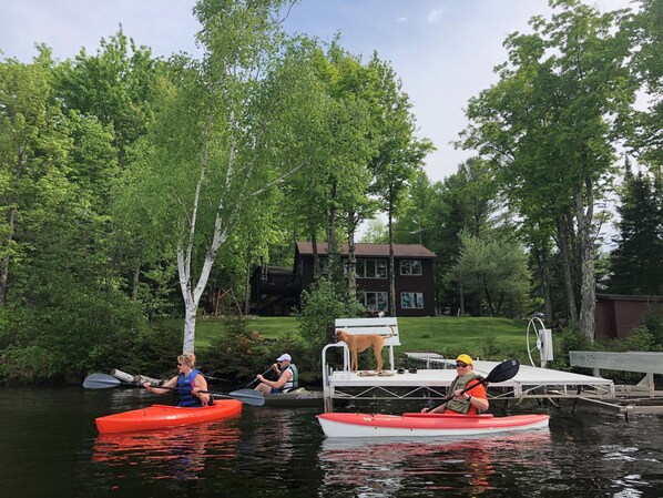 View from the lake (4 kayaks available for use during your stay)