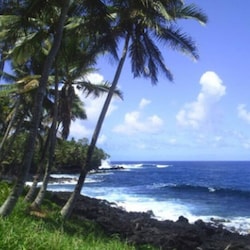 Lovely coastal Red Road nearby, one of the top 10 most scenic drives in America!