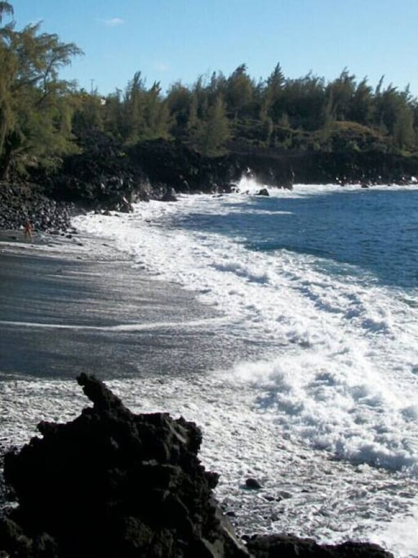 Black Sand Beach is 10 minutes away. The ONLY beach in Puna. We often swim with wild dolphins and see whales during whale season.
