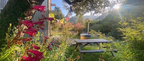 Cabin garden