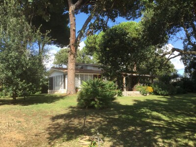 Picture of villa