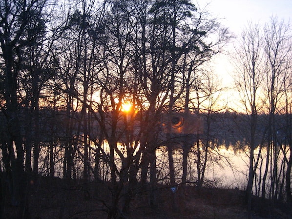 Terrain de l’hébergement 