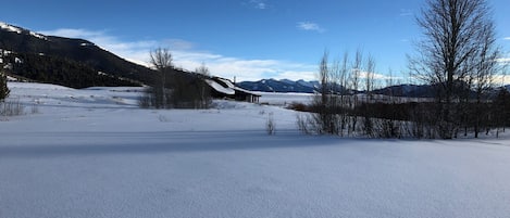 Sneeuw- en skisporten