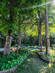 Nature Escape guesthouse minutes from Ottawa, in the heart of the Gatineau Park