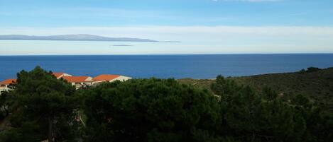 Vue de la terrasse vers l est