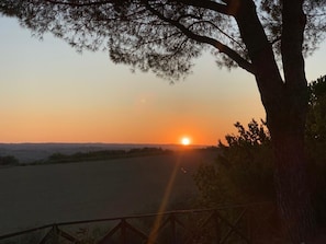 Vue depuis l’hébergement