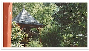 Unclassified image, 2 of 10, button