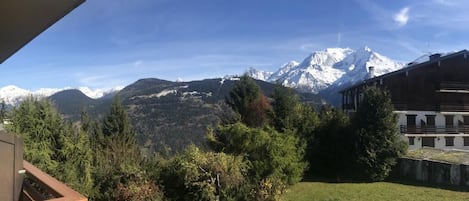 Terrain de l’hébergement 