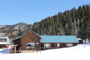 Ulkopuoli