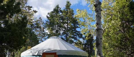 Soldier Summit Yurt