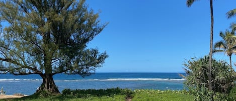 View from Lanai