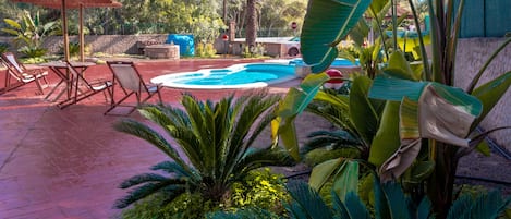 Scorcio giardino con piscina