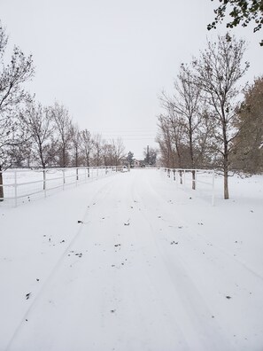 Snow and ski sports
