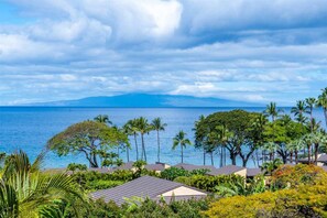 View from Lanai