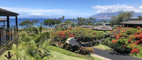 View from Lanai