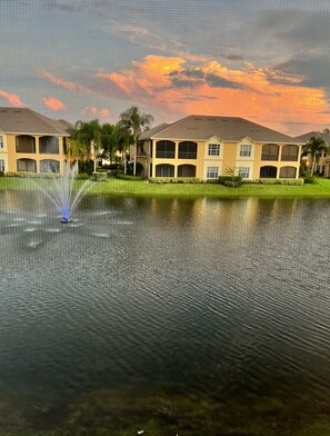 3 water fountains to add ambiance to the lake🌴❤️
