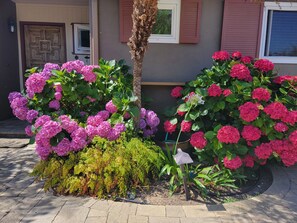 Front entry courtyard.