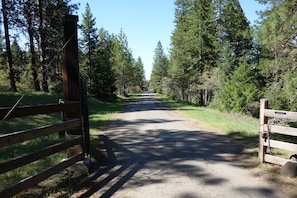 Historic Old Siskiyou Road is our driveway now, and kids' "bike path."